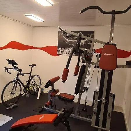 Апартаменты Ferienwohnung-rothen-adler Брайтенбрунн