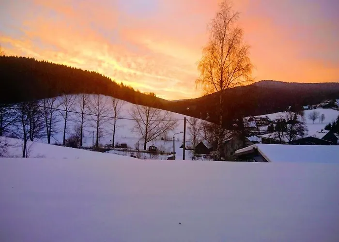 Ferienwohnung-rothen-adler بريتينبرون